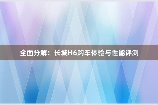 全面分解：长城H6购车体验与性能评测